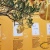 CURIOUSdesign - Stand Molino Grassi  - Gli alberi del pane